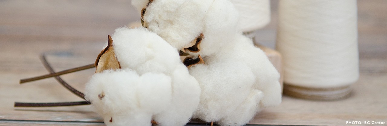 BC-cotton