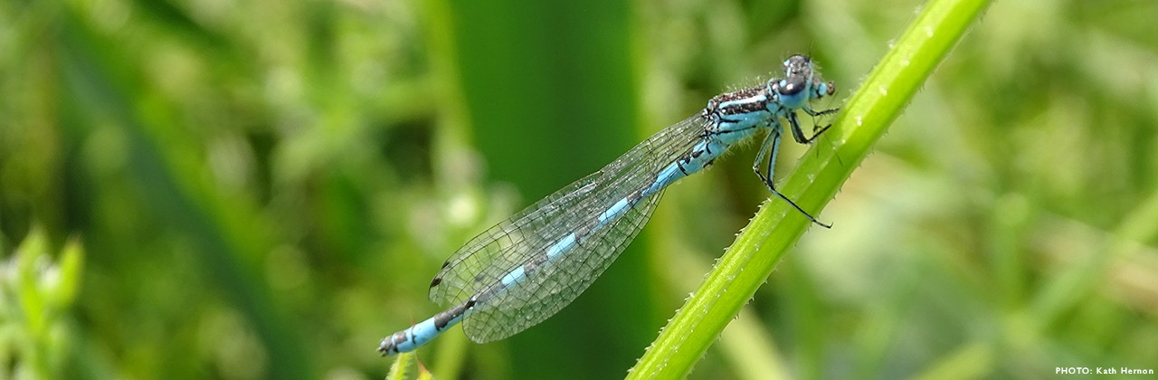 science-based-targets-for-nature